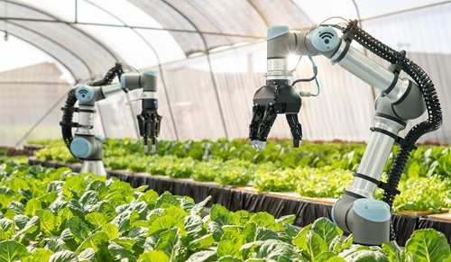 Smart Agriculture: Teknologi Impian untuk Pertanian Masa Depan